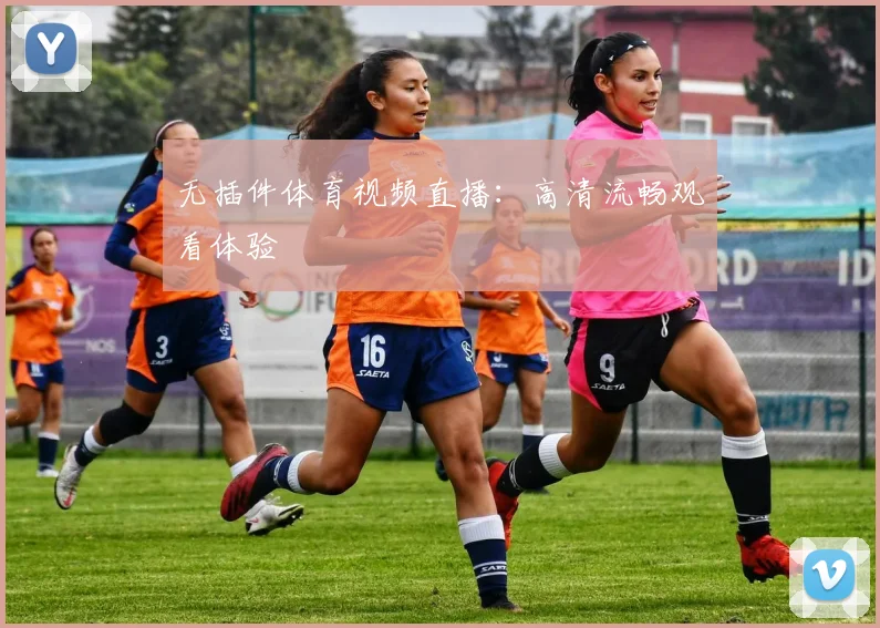 无插件体育视频直播：高清流畅观看体验