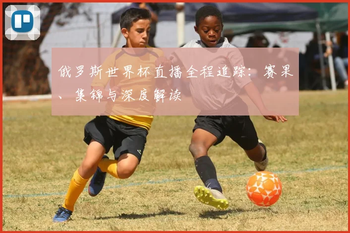 俄罗斯世界杯直播全程追踪：赛果、集锦与深度解读