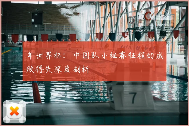 年世界杯：中国队小组赛征程的成败得失深度剖析