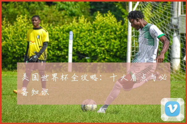 美国世界杯全攻略:十大看点与必备知识