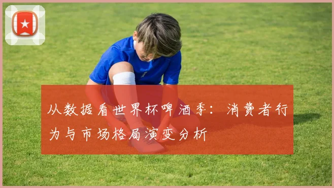 从数据看世界杯啤酒季：消费者行为与市场格局演变分析