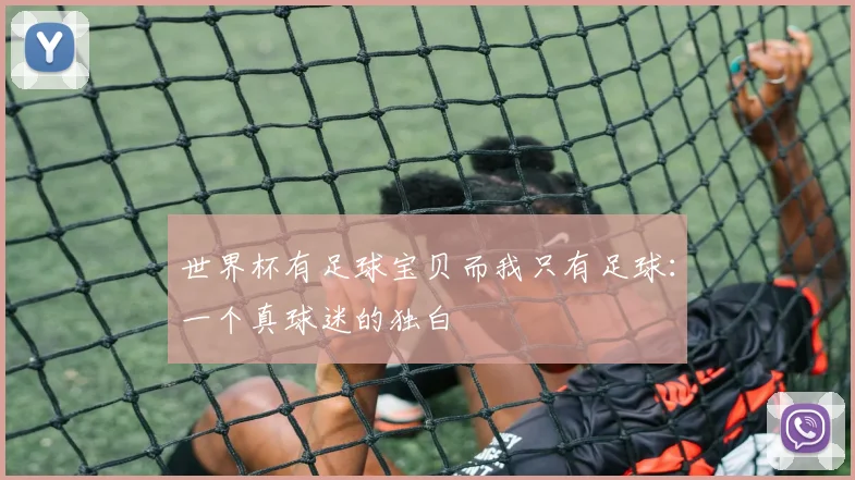 世界杯有足球宝贝而我只有足球:一个真球迷的独白
