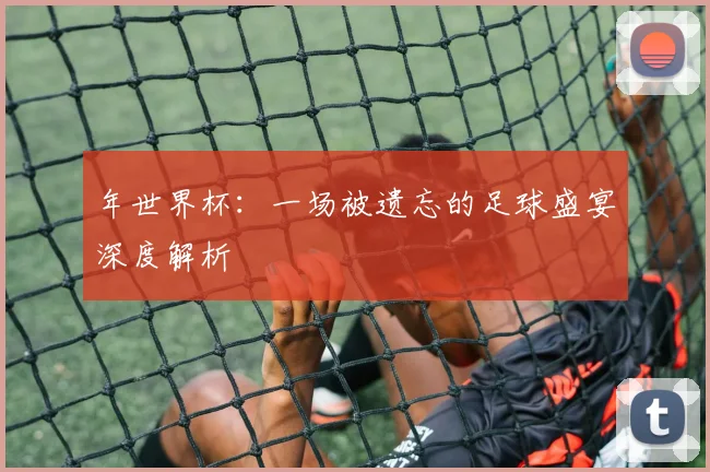 年世界杯:一场被遗忘的足球盛宴深度解析