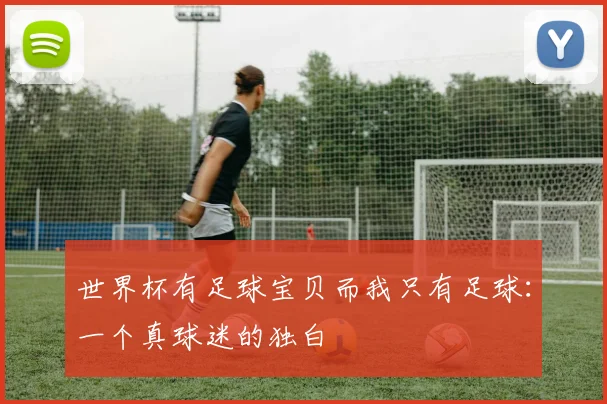 世界杯有足球宝贝而我只有足球:一个真球迷的独白