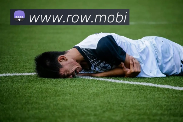 开云账号中心登录入口APP 封面图